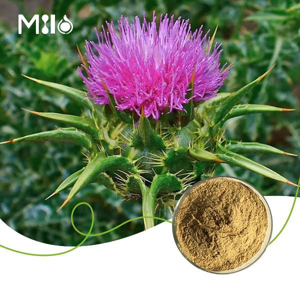 Силимарин у праху